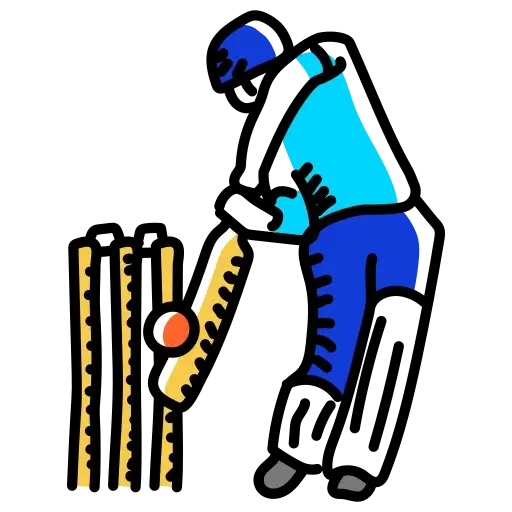 Dedicated cricket practice pitch with nets